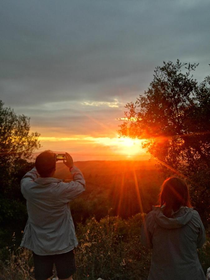 Vila Torre Bruno Carpino Exteriér fotografie