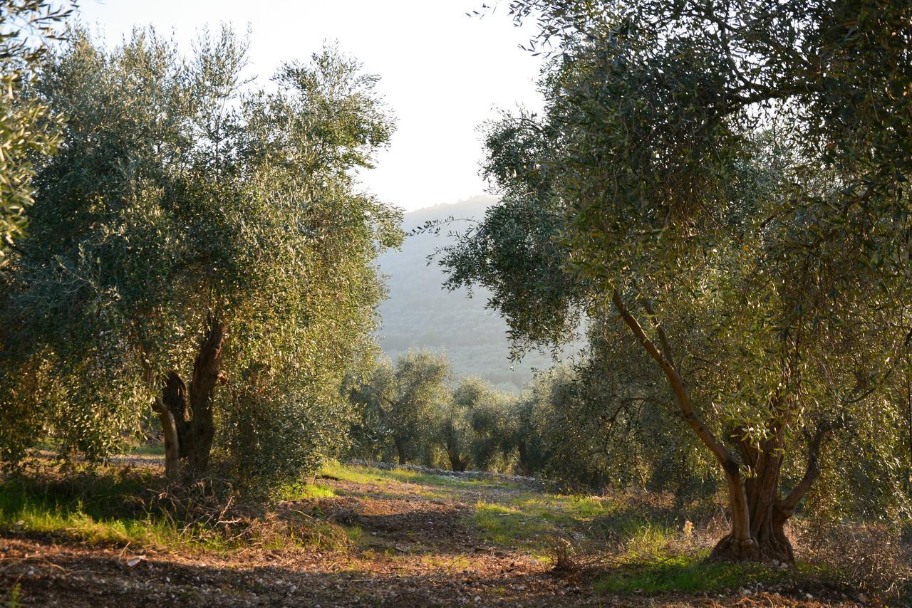 Vila Torre Bruno Carpino Exteriér fotografie