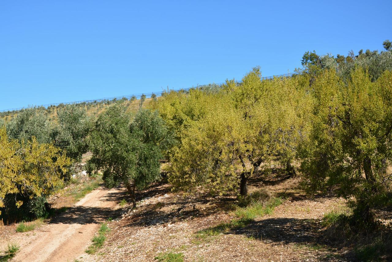 Vila Torre Bruno Carpino Exteriér fotografie